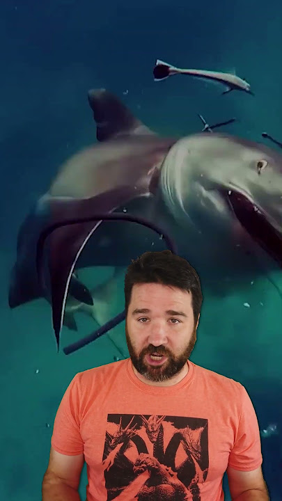 25 Real Images That Will Trigger Your Thalassophobia