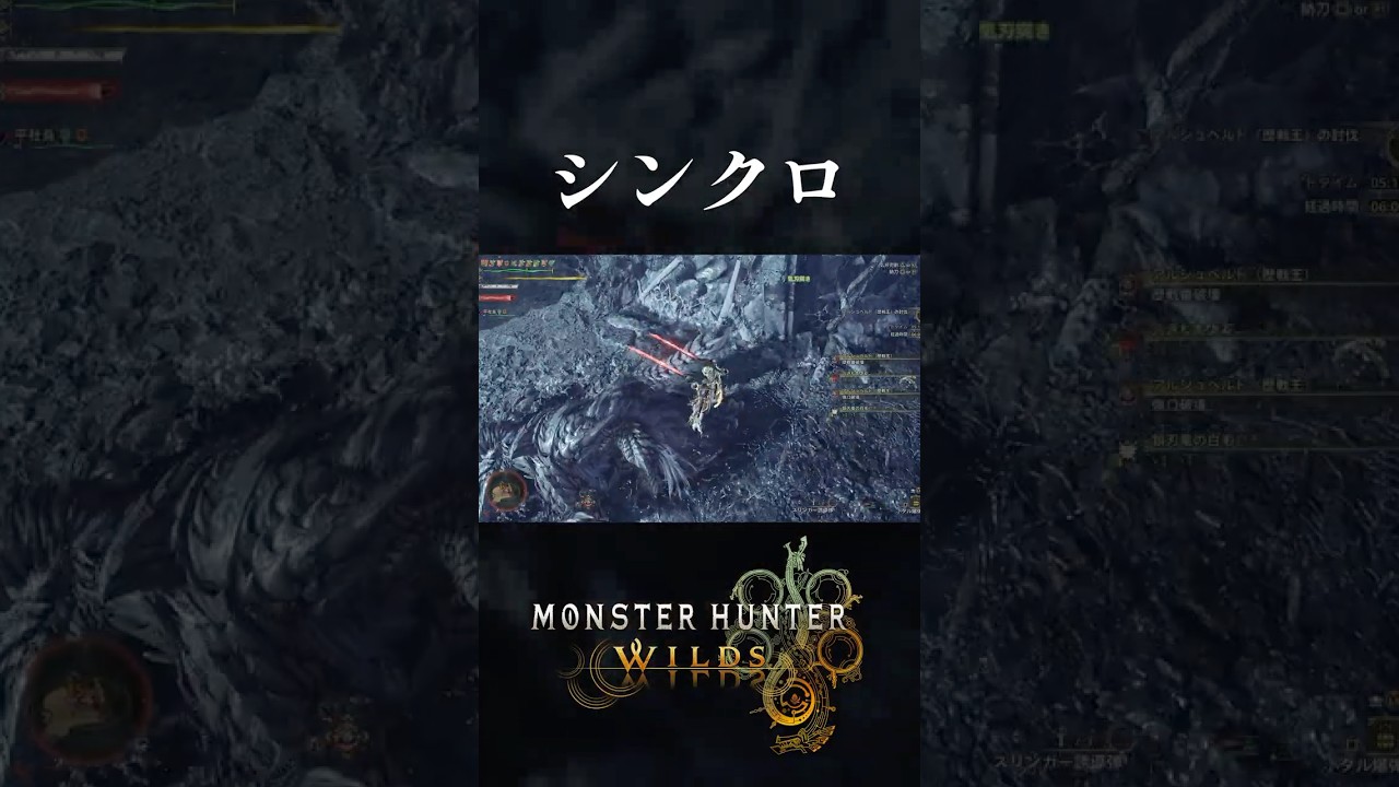 太刀ペアの気持ち良いシーン【MHWilds】