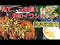 旬のイワシをワイルドに手で剥いて爆速で刺身と蒲焼にしたら、魚をもっと食べるべきということに気付いた動画【陸奥湊朝市】