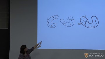 CS480/680 Lecture 6: Unsupervised word translation (Kira Selby)