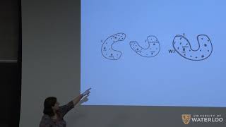 CS480/680 Lecture 6: Unsupervised word translation (Kira Selby)