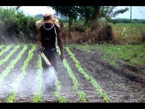 Fertilizante Cultivo Hidroponico Fertilizante Cultivo Hidroponico