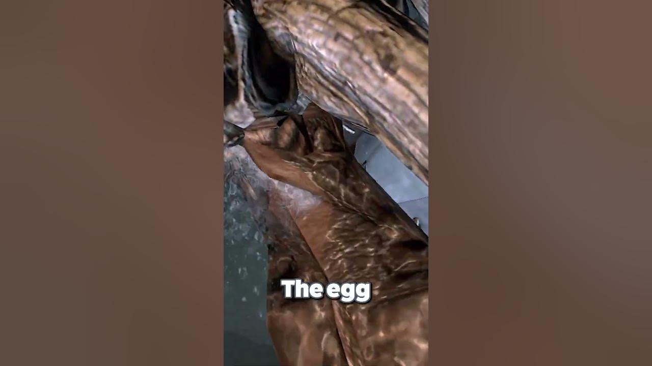 Explaining the Life Cycle of a Xenomorph in Just 60 Seconds Alien