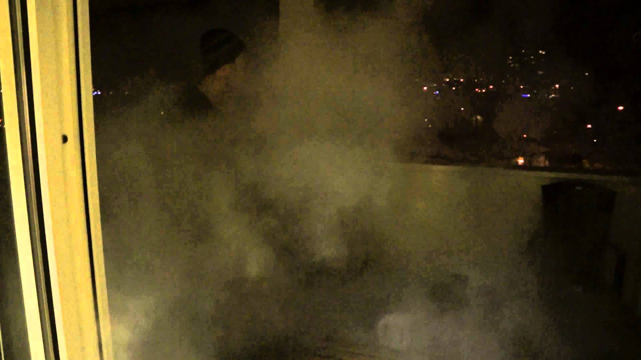 The Persaunet Scientists