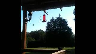 IMG_0066(3).MOV IMG_0066(3).MOV