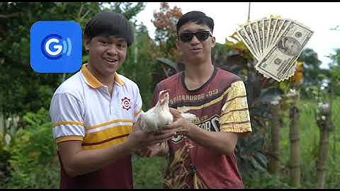 Verch: E-Commerce Platform