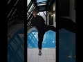 ヒカキンが中国軍隊ダンスを踊ったよ#shorts