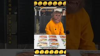 🤣 এইতো ওয়েটার এসছে 🤪🐒#monkeyfunnyvideo #comedy #shorts