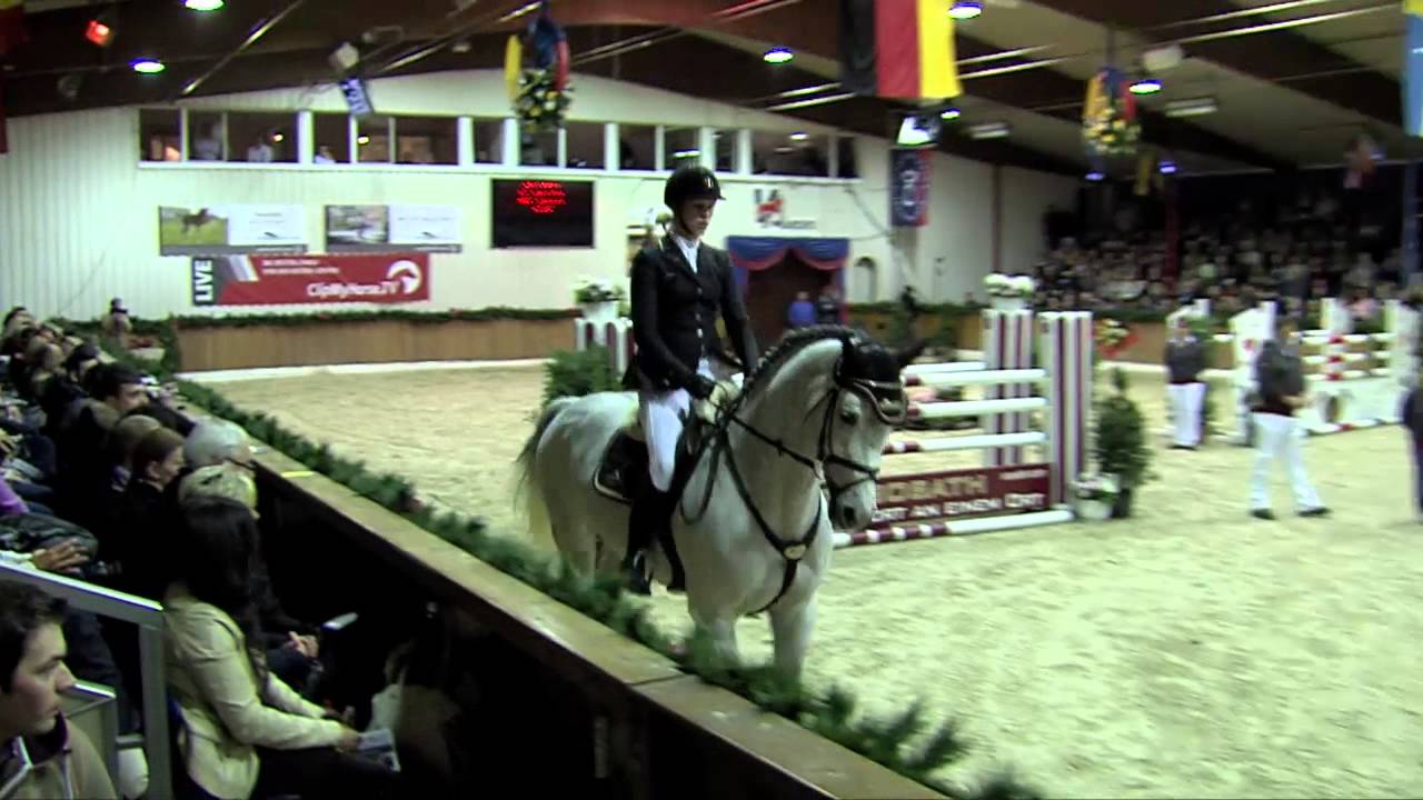 Levisonn - Sosath (Stallion Show 2014)