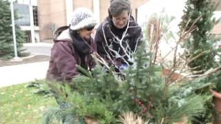 Landscape Job Tasks - Seasonal Decor