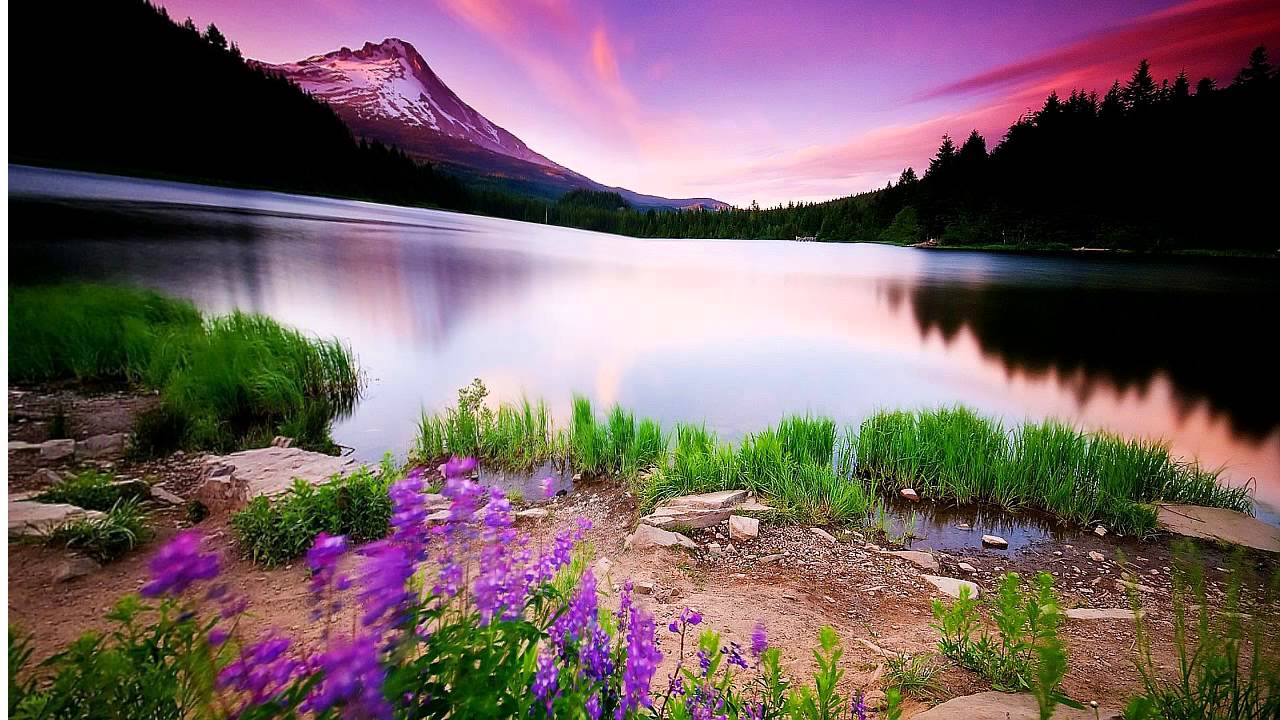 60 PLR Music Audio Sound Tracks Royalty Free