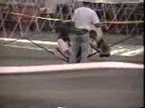 This is a video taken during the Human Powered Flight Symposium at Boeing, Seattle, in 1994. The female pilot successfully raised the copter from the floor f...