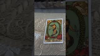 Pious Tarot Cards ♦️ Rina Sagar Toki: The World short video