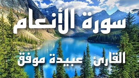 سورة الانعام  القاريء / عبيدة موفق