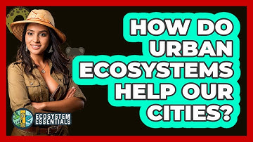 How Do Urban Ecosystems Help Our Cities? - Ecosystem Essentials