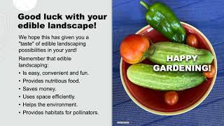 Create an Edible Landscape