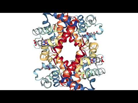 Protein Synth – 1gzx (partial)