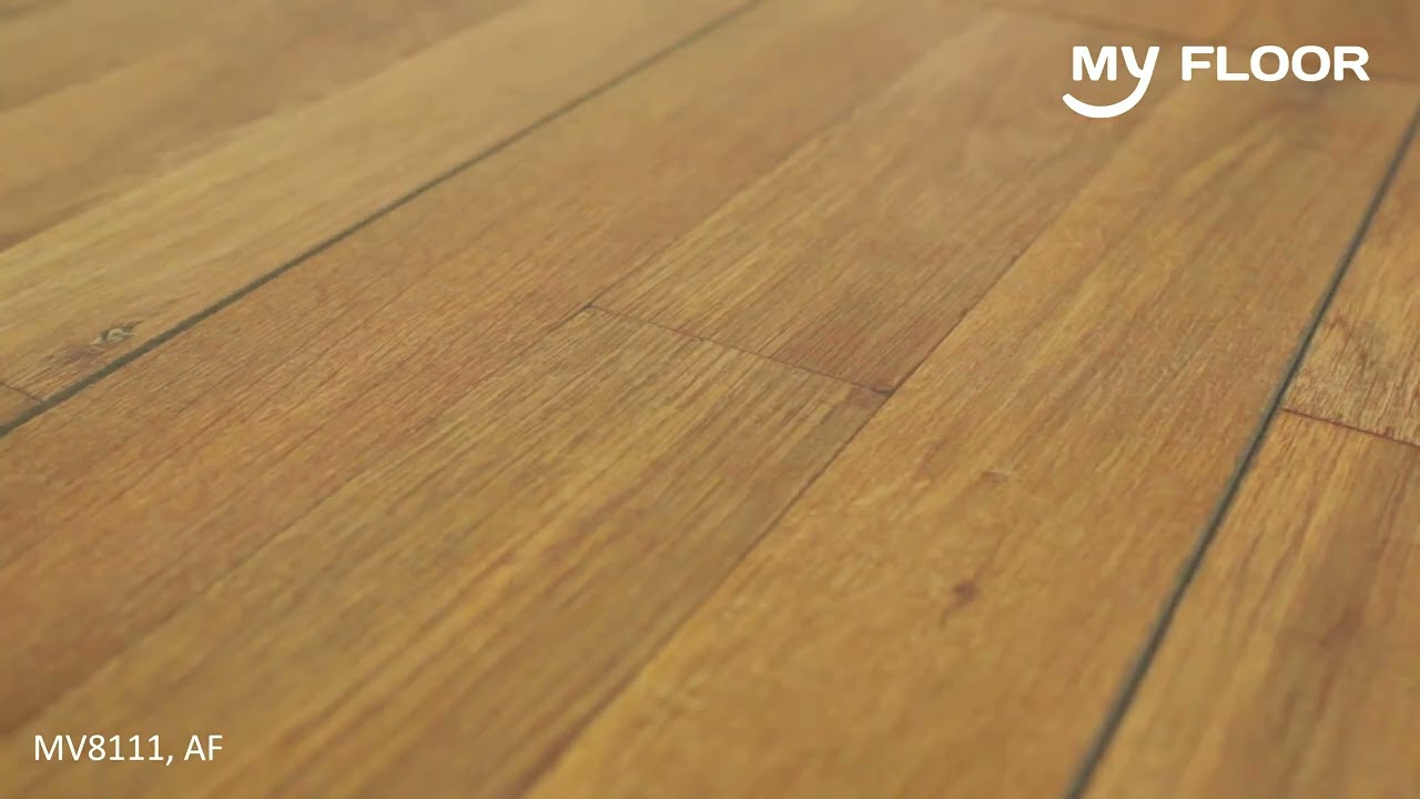 Previzualizare video
