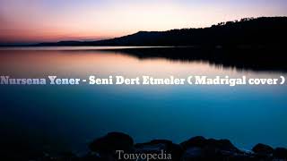 Nursena Yener - Seni Dert Etmeler ( Madrigal Cover ) lyrics Resimi