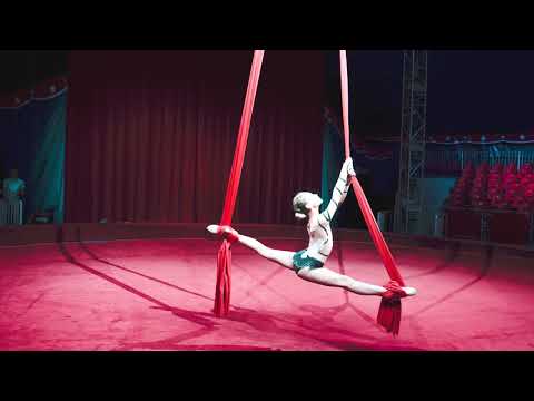 Вольтижная акробатика в цирке