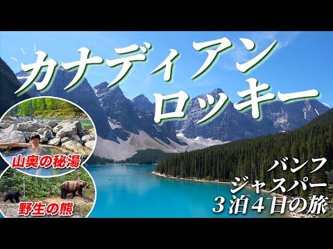 西中北部の庭に最適！在来植物で失敗しない3つのポイント