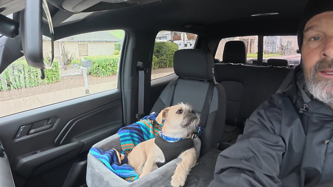 Сэндвич во время прилива в Морро-Бей, поездка в Сан-Симеон на прогулку с Маком, морские слоны.