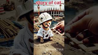 a little cet story #shorts  #ai  #cartoon