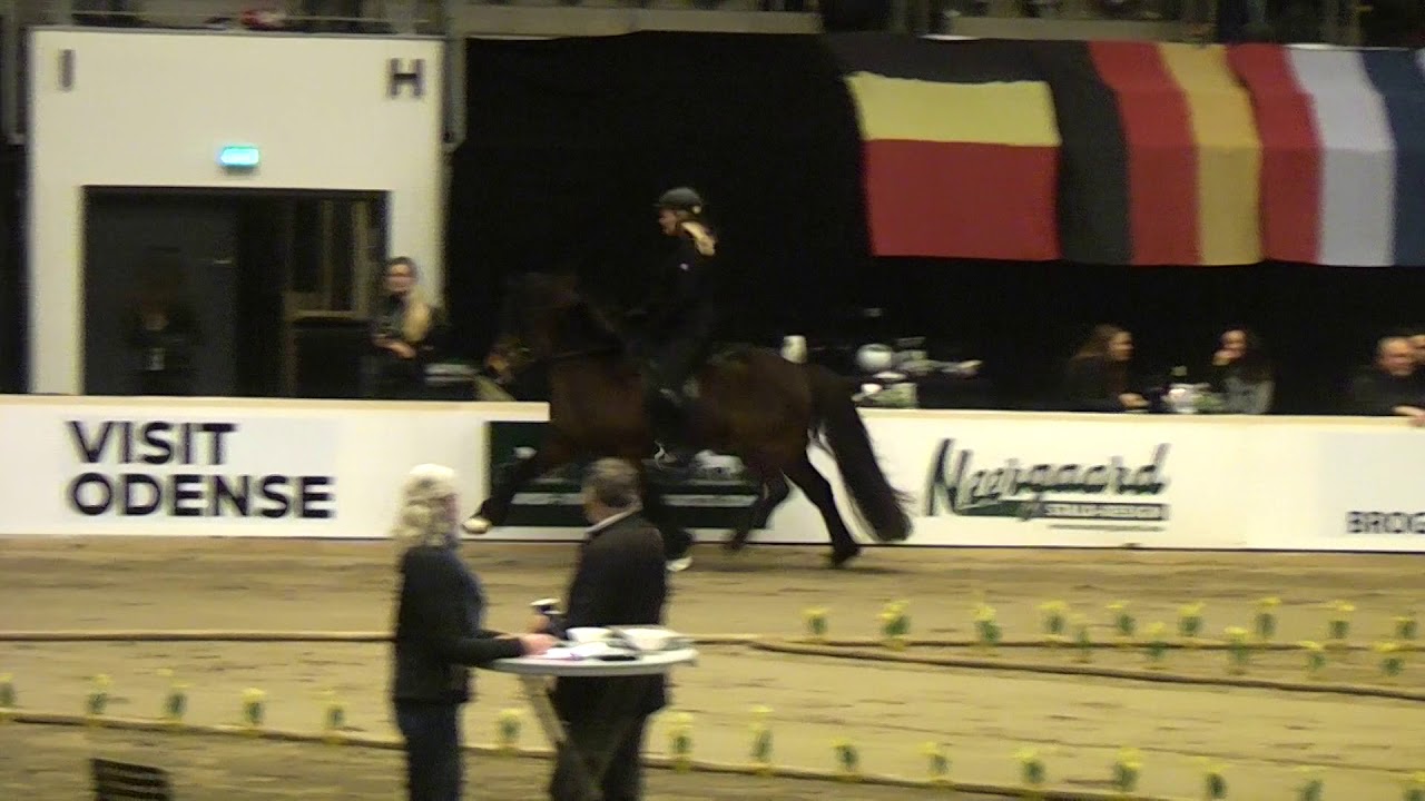 Gulltoppur frá Stað, OD20F1