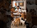#like #subcrib #viral #video animal's and Thalapathi vijay 🤫