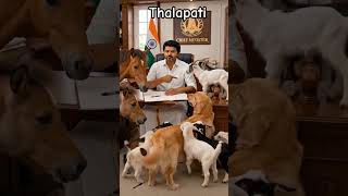 #like #subcrib #viral #video animal's and Thalapathi vijay 🤫