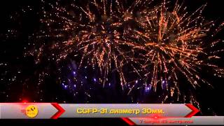 CGFP 31