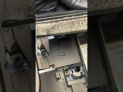 Cleaning an Alienware