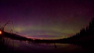 Nightsky Going Crazy, Stunning Aurora Borealis In Saskatchewan, -Land Of The Living Skies-