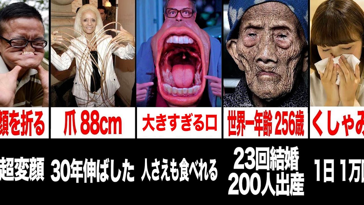 活動歴および当時の関連ビジュアル記録