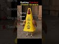 Ranking Funniest Chicken Screams Pt. 3 💀