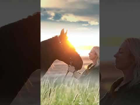 هاني شاكر وانت فين ياللي بتعاندي القدر اكسبلور خيل الموسيقي