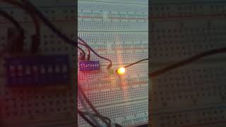 Famous Digital logic design lab assignment #2 (notes in description) Wealth