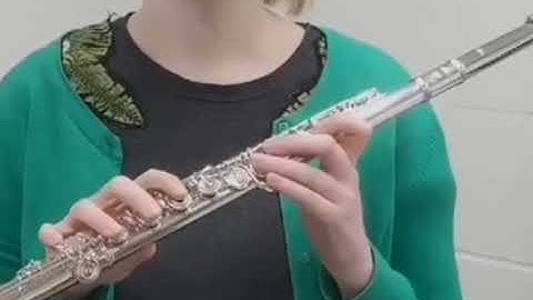 Flute Wirh A Low B Footjoint and a Low C Footjoint