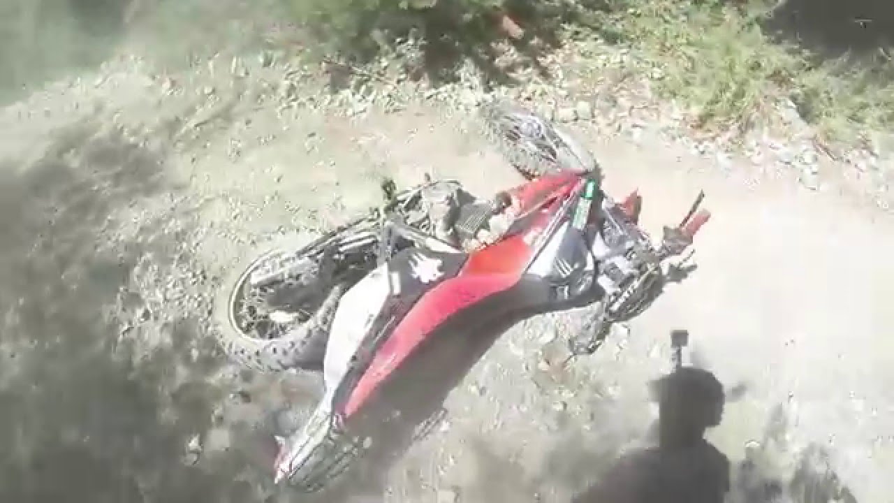 PALITO EN EL PILTRI camera iphone 8 plus apk