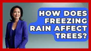 How Does Freezing Rain Affect Trees? - Weather Watchdog