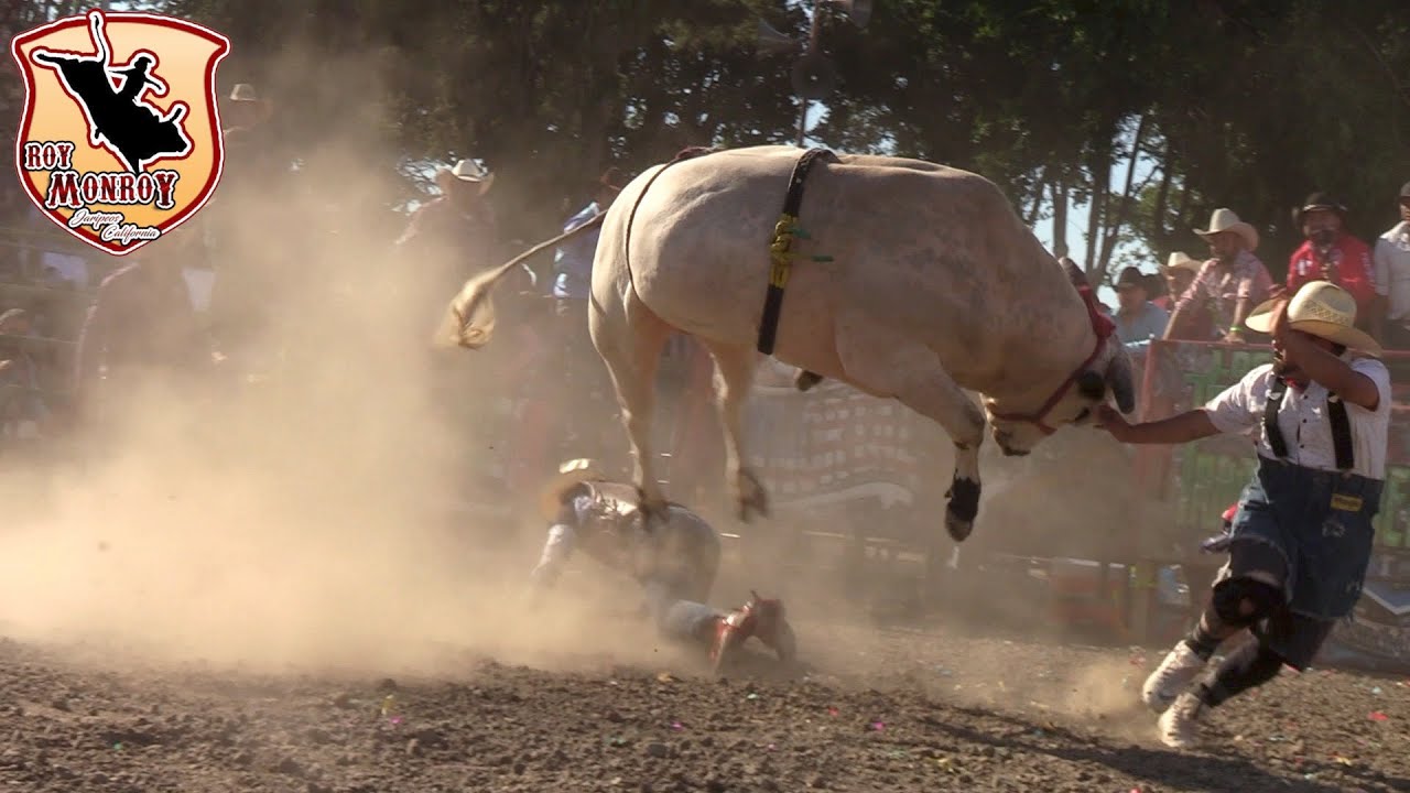 !!Jaripeo Estilo Michoacan Con Rancho Barriga En King City CA. Gira USA