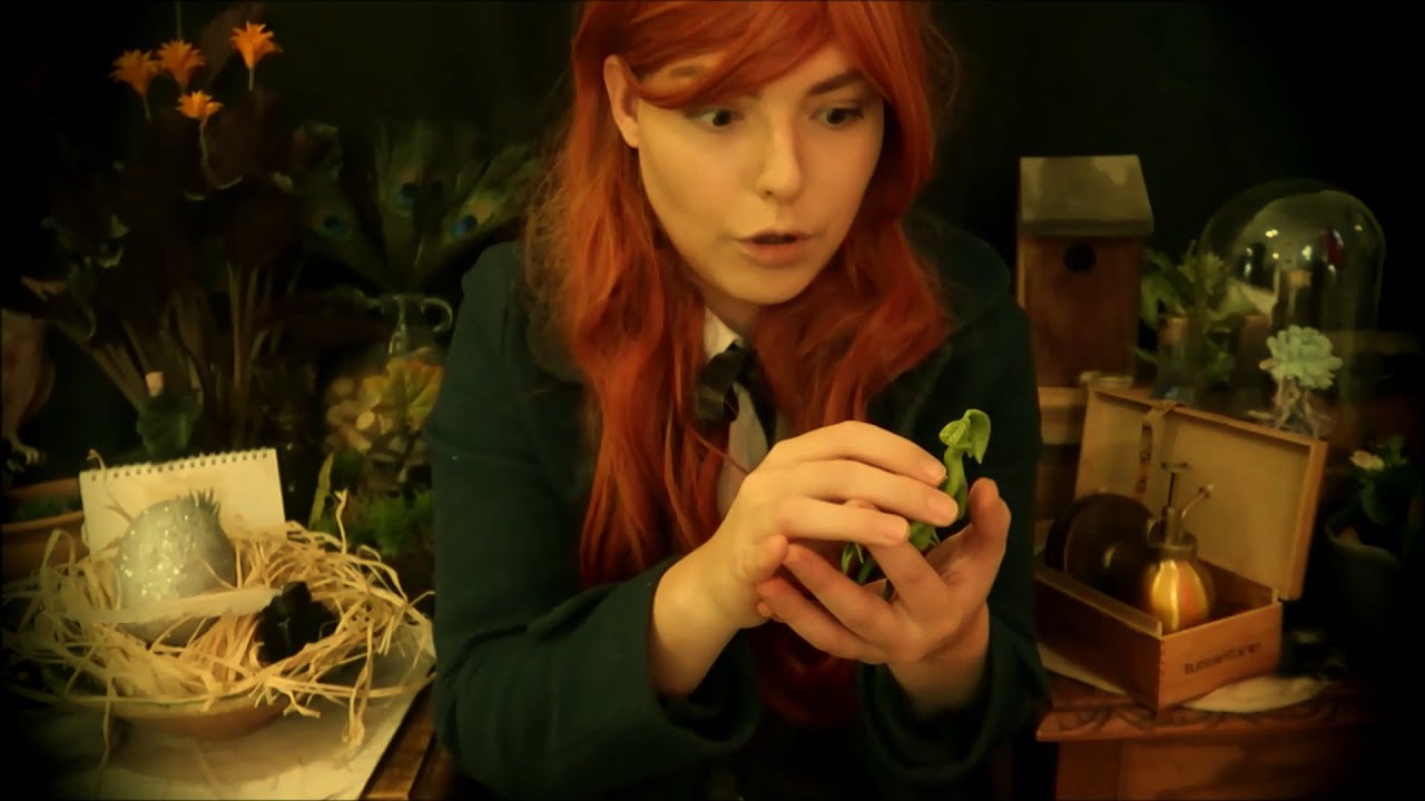 ASMR - Harry Potter/Fantastic Beasts - Care of magical creatures by prof. Scamander - roleplay 🕷️