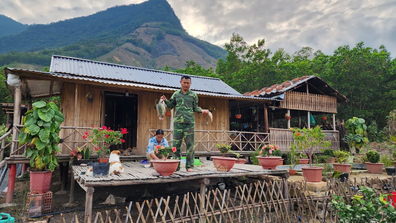 plant seedlings of yellow flower tea, go back home to raise bees, go