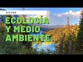 Ecologa y medio ambiente educativo 