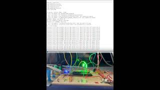 TuneAccess — accordeur accessible avec microphone MEMS I2S | Blind Systems × Polytech'