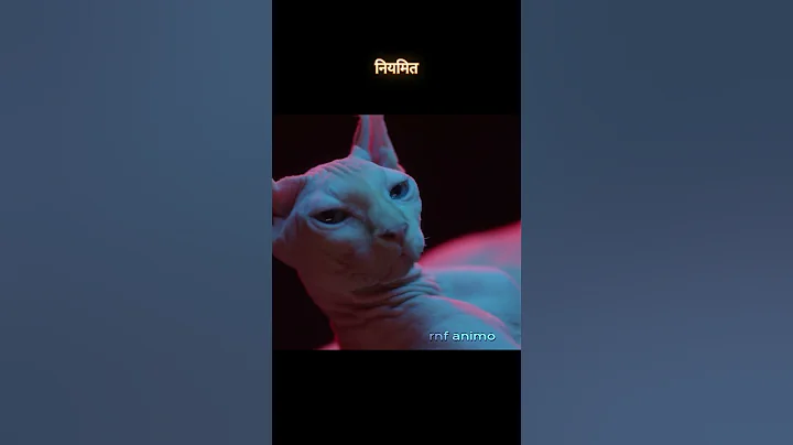 Watch the video about #shortsfeed #shortsviral #sphynx #cats #wildcats #animals #cat