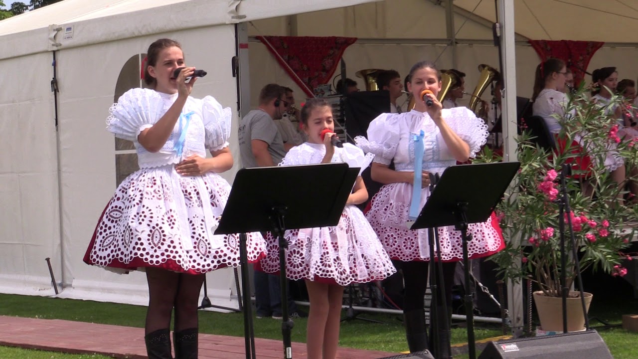 RATÍŠKOVICE-50.MEZINÁRODNÍ FESTIVAL DECHOVÝCH HUDEB: Mladá muzika Šardice 6.