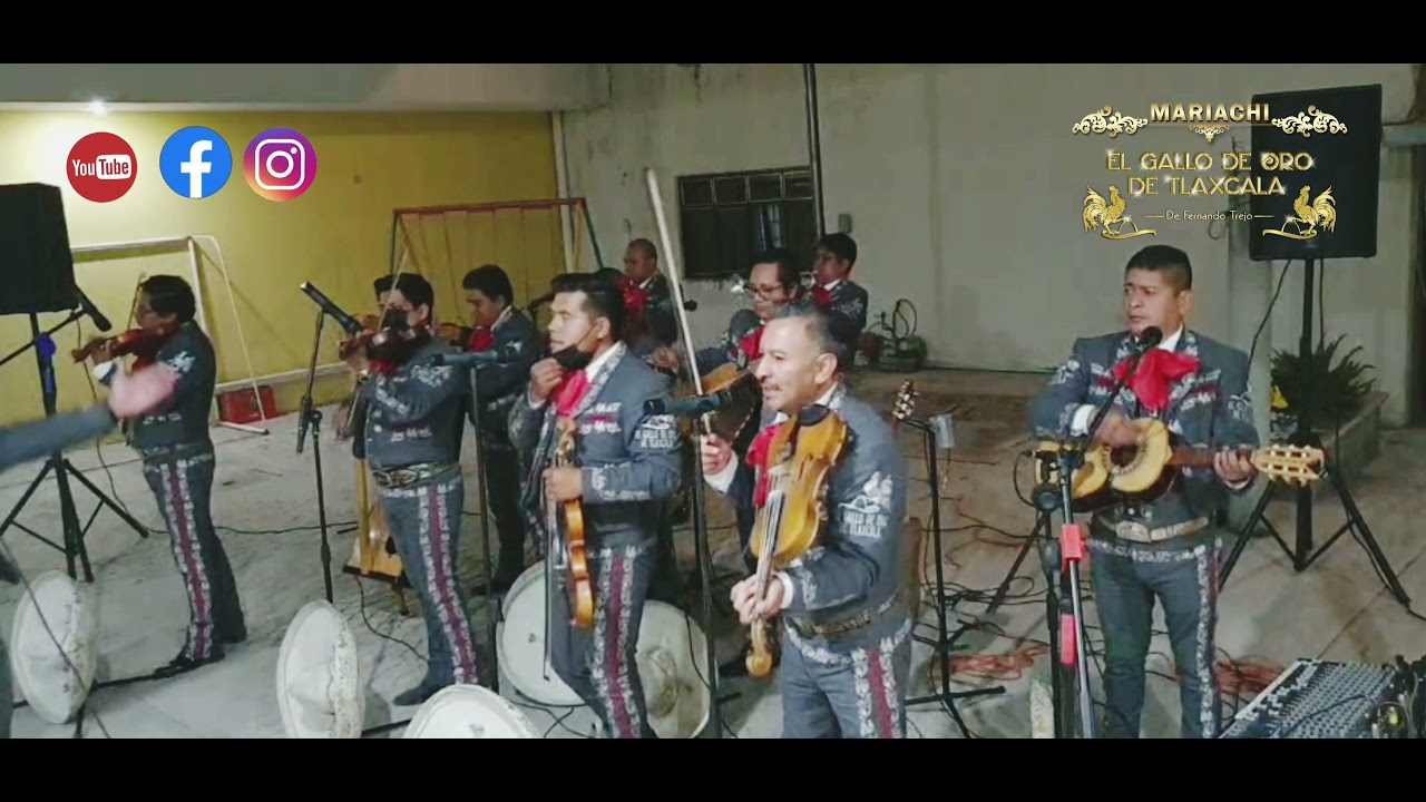 LA VENIA BENDITA / MARIACHI EL GALLO DE ORO DE TLAXCALA - YouTube