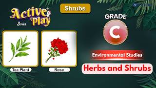 Go Green : Plants  | EVS Class C | Chapter 10 screenshot 1