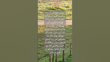 #قرآن #سورة_البقرة #surahalbaqarah #قران_كريم #البقرة #سورة #tilawat #المصحف